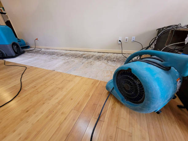 Reliable Basement Flood Cleanup contractor in Covington, TN by Hirex Water Damage