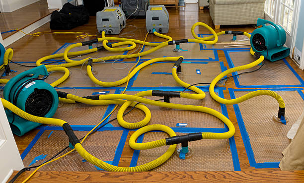 Professional Basement Flood Cleanup technician working in Covington, TN